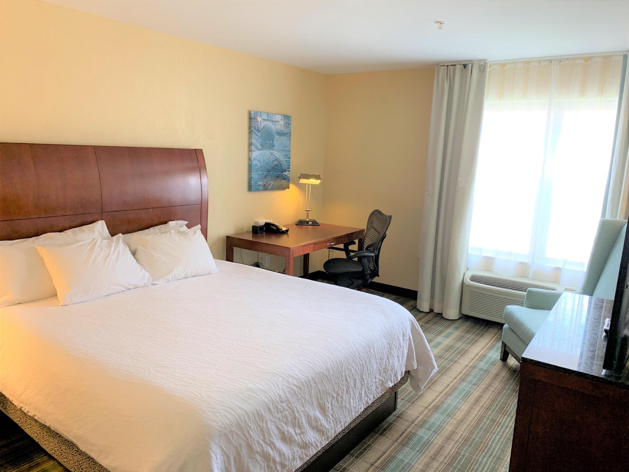 Hilton Garden Inn Albany Medical Center Zewnętrze zdjęcie