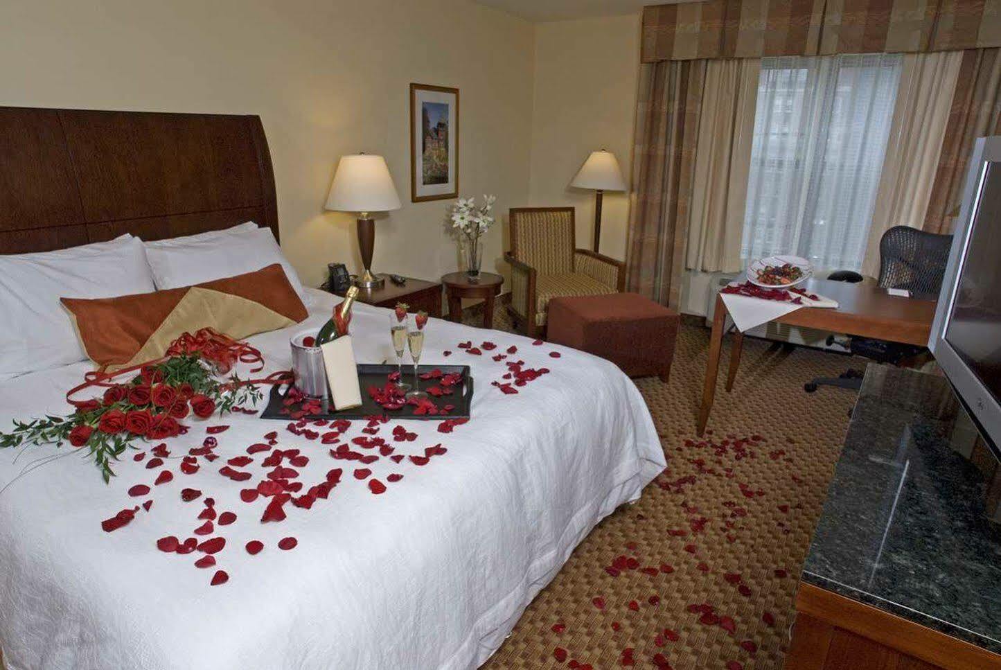 Hilton Garden Inn Albany Medical Center Zewnętrze zdjęcie